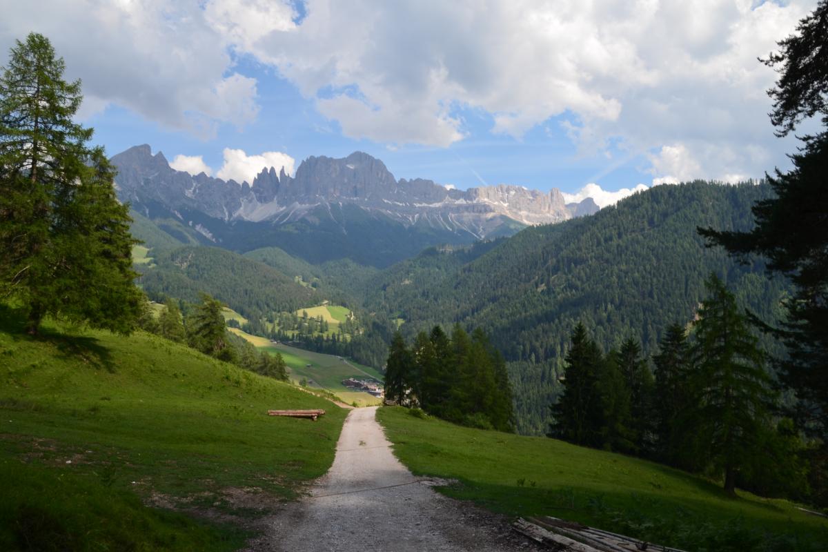 Tschafon Voelseggspitze 28.06.2021